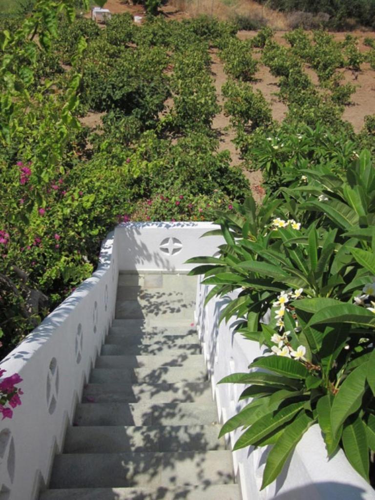 Mare Apartment Mochlos